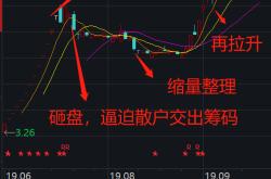 佛山南海队逆转形式，实现胜利登顶的简单介绍